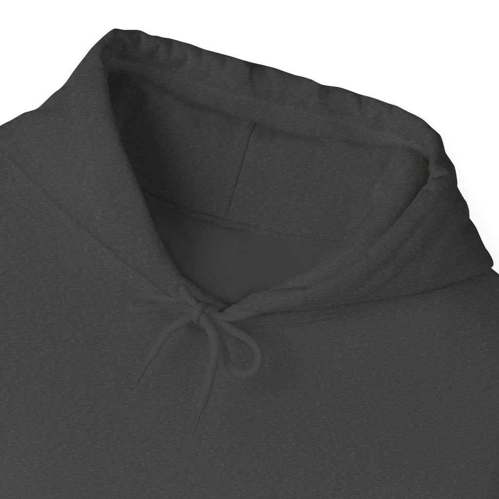 front view of close up of heather hoodie