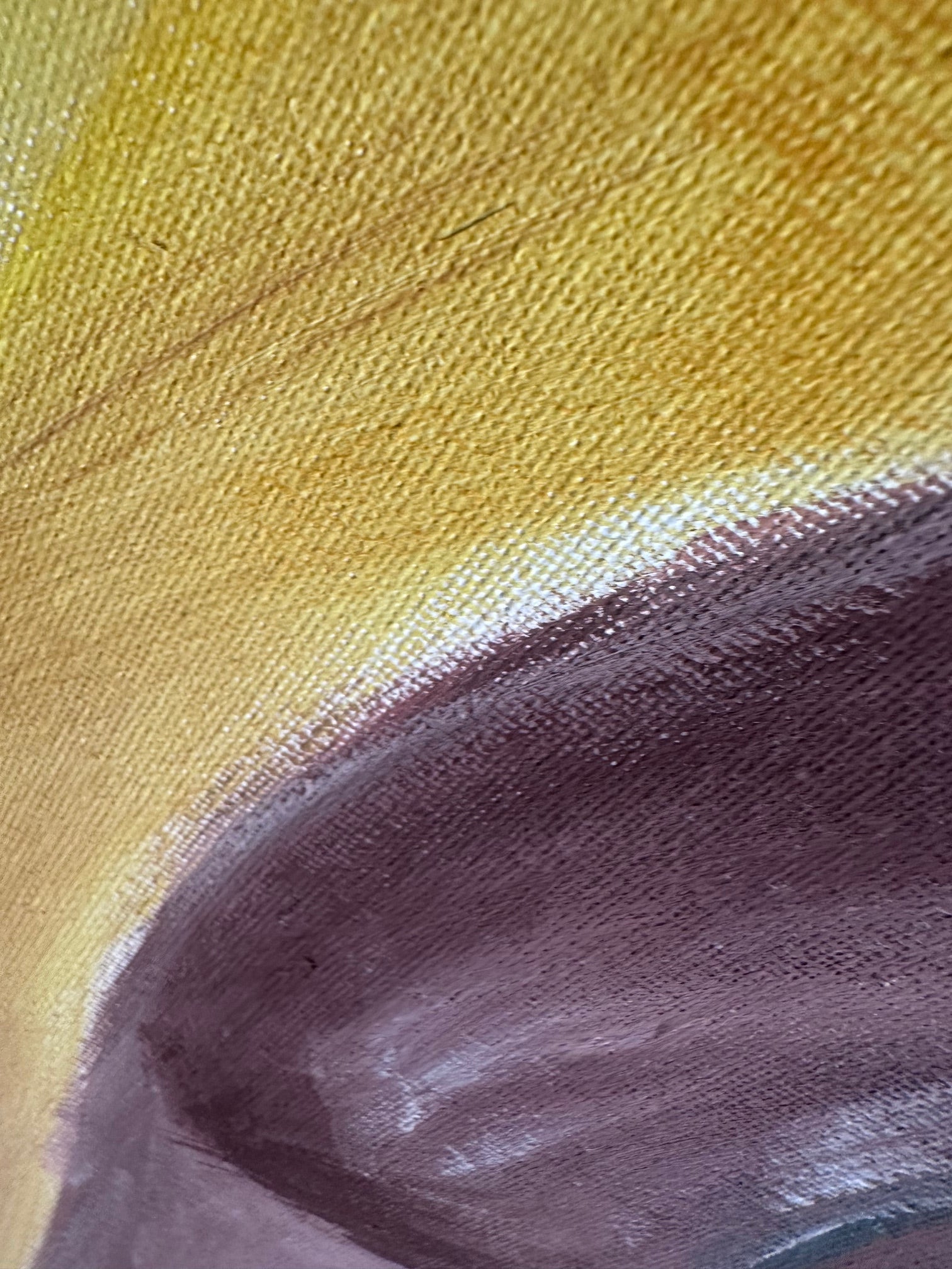 Close-up of textured purple and yellow surface